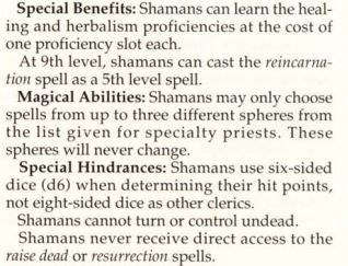 shaman magical info.JPG