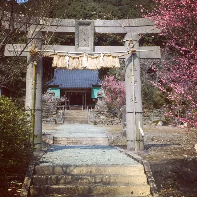 village shinto shrine.jpg
