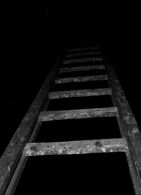ladder.jpg