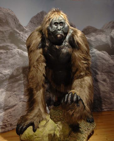 gigantopithecus-blackii.jpg