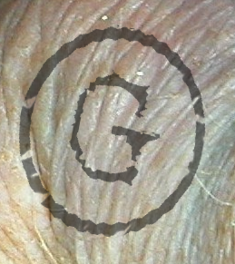 branding iron mark.png