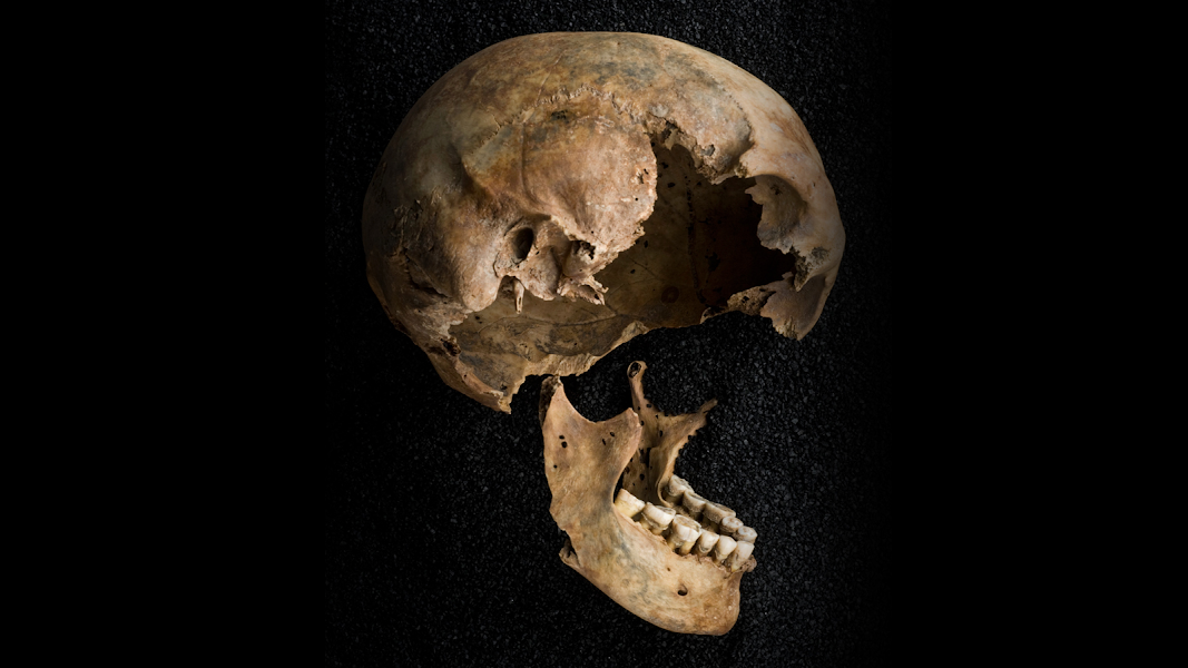 broken skulls.png