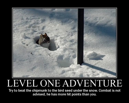 level one adventure.jpg