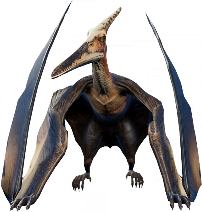 Barrow Moor Pteranodons.