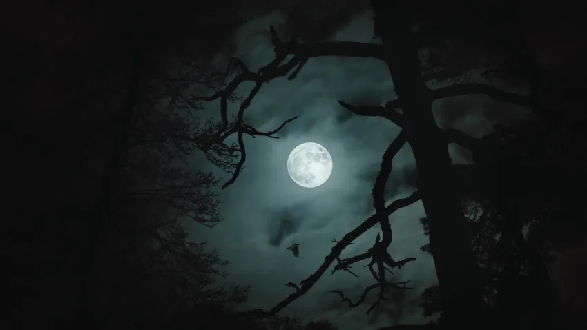 moon.jpg